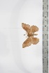  ( - BC-TB3403)  @11 [ ] Copyright (2010) Unspecified Research Collection of Thierry Bouyer