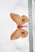  ( - BC-TB3441)  @12 [ ] Copyright (2010) Unspecified Research Collection of Thierry Bouyer