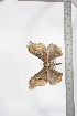  ( - BC-TB3512)  @12 [ ] Copyright (2010) Unspecified Research Collection of Thierry Bouyer