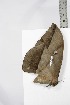  ( - BC-TB3529)  @12 [ ] Copyright (2010) Unspecified Research Collection of Thierry Bouyer