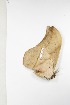  ( - BC-TB3859)  @12 [ ] Copyright (2010) Unspecified Research Collection of Thierry Bouyer