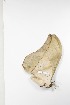  ( - BC-TB3860)  @12 [ ] Copyright (2010) Unspecified Research Collection of Thierry Bouyer