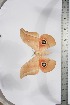  ( - BC-TB3887)  @11 [ ] Copyright (2010) Unspecified Research Collection of Thierry Bouyer