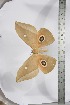  ( - BC-TB3927)  @13 [ ] Copyright (2010) Unspecified Research Collection of Thierry Bouyer