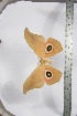  ( - BC-TB3952)  @12 [ ] Copyright (2010) Unspecified Research Collection of Thierry Bouyer