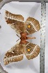  ( - BC-TB3954)  @13 [ ] Copyright (2010) Unspecified Research Collection of Thierry Bouyer
