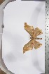  ( - BC-TB3961)  @12 [ ] Copyright (2010) Unspecified Research Collection of Thierry Bouyer