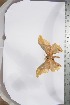  ( - BC-TB3963)  @12 [ ] Copyright (2010) Unspecified Research Collection of Thierry Bouyer