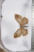  ( - BC-TB3965)  @12 [ ] Copyright (2010) Unspecified Research Collection of Thierry Bouyer