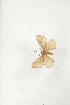  ( - BC-TB3996)  @12 [ ] Copyright (2010) Unspecified Research Collection of Thierry Bouyer
