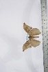  ( - BC-TB4068)  @13 [ ] Copyright (2010) Unspecified Research Collection of Thierry Bouyer