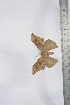  ( - BC-TB4070)  @11 [ ] Copyright (2010) Unspecified Research Collection of Thierry Bouyer