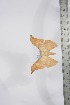  ( - BC-TB4090)  @14 [ ] Copyright (2010) Unspecified Research Collection of Thierry Bouyer
