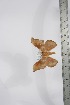  ( - BC-TB4092)  @12 [ ] Copyright (2010) Unspecified Research Collection of Thierry Bouyer
