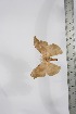  ( - BC-TB4097)  @12 [ ] Copyright (2010) Unspecified Research Collection of Thierry Bouyer