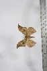  ( - BC-TB4105)  @12 [ ] Copyright (2010) Unspecified Research Collection of Thierry Bouyer