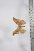  ( - BC-TB4106)  @12 [ ] Copyright (2010) Unspecified Research Collection of Thierry Bouyer