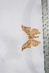 ( - BC-TB4108)  @11 [ ] Copyright (2010) Unspecified Research Collection of Thierry Bouyer
