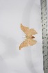  ( - BC-TB4109)  @11 [ ] Copyright (2010) Unspecified Research Collection of Thierry Bouyer