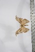  ( - BC-TB4112)  @12 [ ] Copyright (2010) Unspecified Research Collection of Thierry Bouyer