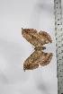  ( - BC-TB4114)  @12 [ ] Copyright (2010) Unspecified Research Collection of Thierry Bouyer