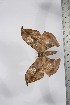  ( - BC-TB4121)  @13 [ ] Copyright (2010) Unspecified Research Collection of Thierry Bouyer