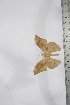  ( - BC-TB4145)  @11 [ ] Copyright (2010) Unspecified Research Collection of Thierry Bouyer