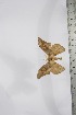  ( - BC-TB4150)  @11 [ ] Copyright (2010) Unspecified Research Collection of Thierry Bouyer