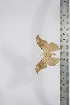  ( - BC-TB4172)  @12 [ ] Copyright (2010) Unspecified Research Collection of Thierry Bouyer
