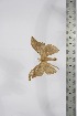  ( - BC-TB4176)  @13 [ ] Copyright (2010) Unspecified Research Collection of Thierry Bouyer