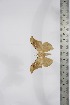  ( - BC-TB4177)  @13 [ ] Copyright (2010) Unspecified Research Collection of Thierry Bouyer