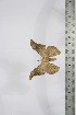  ( - BC-TB4180)  @12 [ ] Copyright (2010) Unspecified Research Collection of Thierry Bouyer