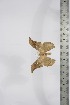  ( - BC-TB4181)  @12 [ ] Copyright (2010) Unspecified Research Collection of Thierry Bouyer
