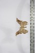  ( - BC-TB4185)  @12 [ ] Copyright (2010) Unspecified Research Collection of Thierry Bouyer
