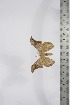  ( - BC-TB4186)  @12 [ ] Copyright (2010) Unspecified Research Collection of Thierry Bouyer