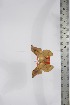  ( - BC-TB4232)  @11 [ ] Copyright (2010) Unspecified Research Collection of Thierry Bouyer
