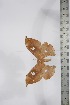  ( - BC-TB4244)  @13 [ ] Copyright (2010) Unspecified Research Collection of Thierry Bouyer