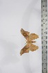  ( - BC-TB4249)  @13 [ ] Copyright (2010) Unspecified Research Collection of Thierry Bouyer