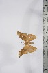  ( - BC-TB4250)  @12 [ ] Copyright (2010) Unspecified Research Collection of Thierry Bouyer