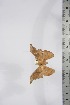  ( - BC-TB4252)  @12 [ ] Copyright (2010) Unspecified Research Collection of Thierry Bouyer