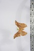  ( - BC-TB4253)  @12 [ ] Copyright (2010) Unspecified Research Collection of Thierry Bouyer