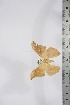  ( - BC-TB4255)  @11 [ ] Copyright (2010) Unspecified Research Collection of Thierry Bouyer