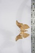  ( - BC-TB4256)  @13 [ ] Copyright (2010) Unspecified Research Collection of Thierry Bouyer