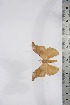  ( - BC-TB4259)  @14 [ ] Copyright (2010) Unspecified Research Collection of Thierry Bouyer