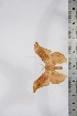  ( - BC-TB4272)  @13 [ ] Copyright (2010) Unspecified Research Collection of Thierry Bouyer