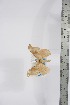  ( - BC-TB4311)  @12 [ ] Copyright (2010) Unspecified Research Collection of Thierry Bouyer