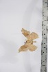  ( - BC-TB4313)  @12 [ ] Copyright (2010) Unspecified Research Collection of Thierry Bouyer