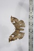  ( - BC-TB4331)  @12 [ ] Copyright (2010) Unspecified Research Collection of Thierry Bouyer