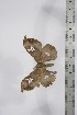  ( - BC-TB4332)  @12 [ ] Copyright (2010) Unspecified Research Collection of Thierry Bouyer
