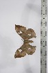  ( - BC-TB4334)  @12 [ ] Copyright (2010) Unspecified Research Collection of Thierry Bouyer